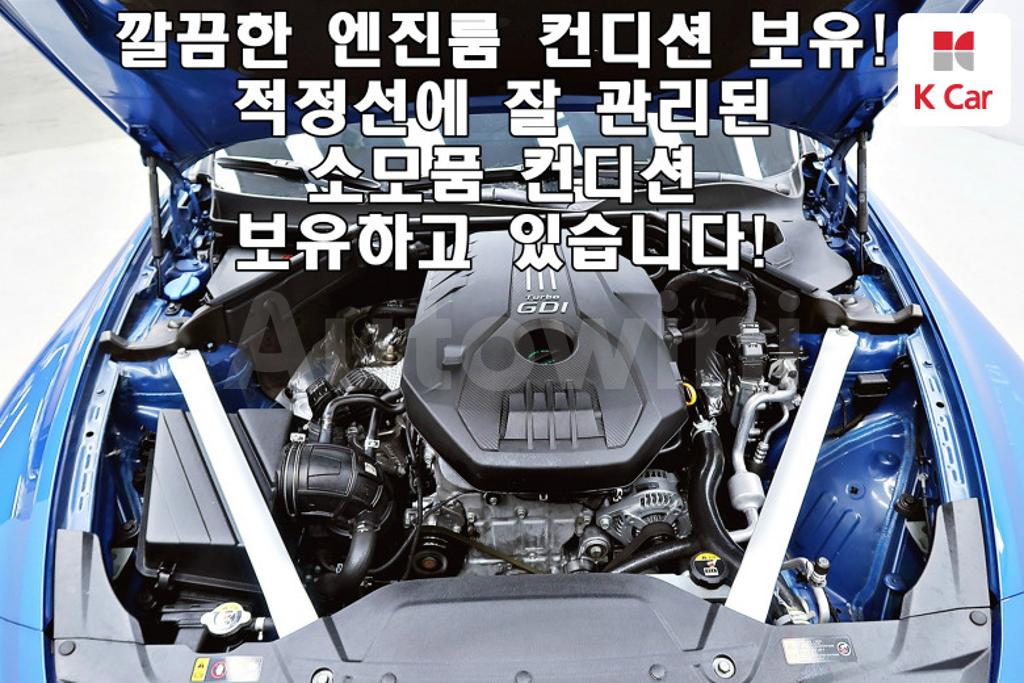 2019 KIA STINGER 2.0 TURBO 2WD - 20