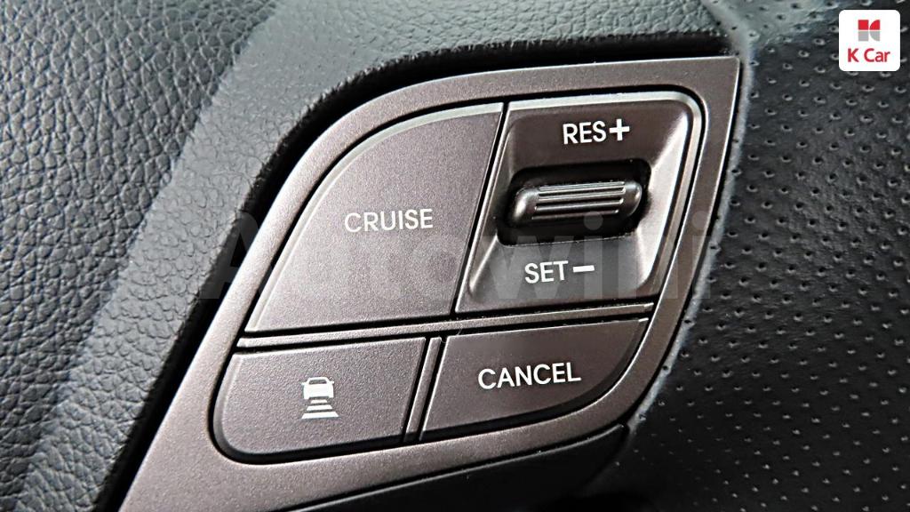2018 HYUNDAI  MAXCRUZ DIESEL 2.2 2WD - 31