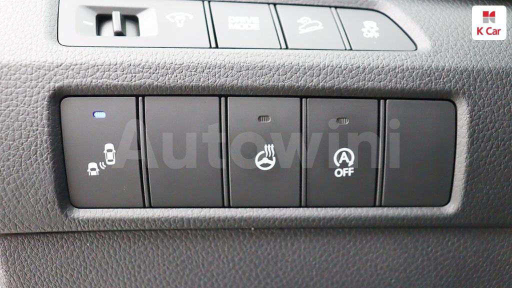 2018 HYUNDAI  MAXCRUZ DIESEL 2.2 2WD - 29