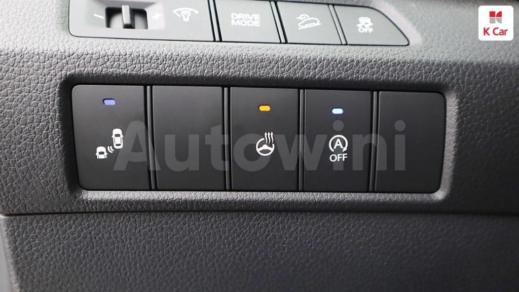 2018 HYUNDAI SANTAFE THE PRIME DIESEL 2.0 2WD - 19
